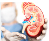 Best Orthopedic and Kidney Treatment Options in Bangalore